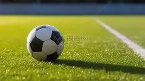 国羽默契配合，羽毛球公开赛夺冠荣耀