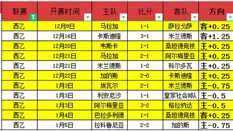 邵佳一欣喜见证国足左路新星1_0胜利，专家精准推荐显神威